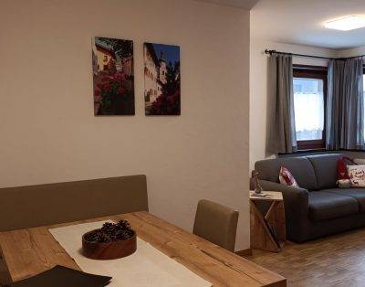 Nice two-room apartment on the Alpe di Siusi